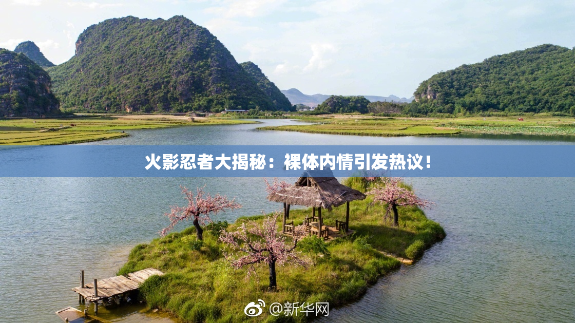 火影忍者大揭秘：裸体内情引发热议！