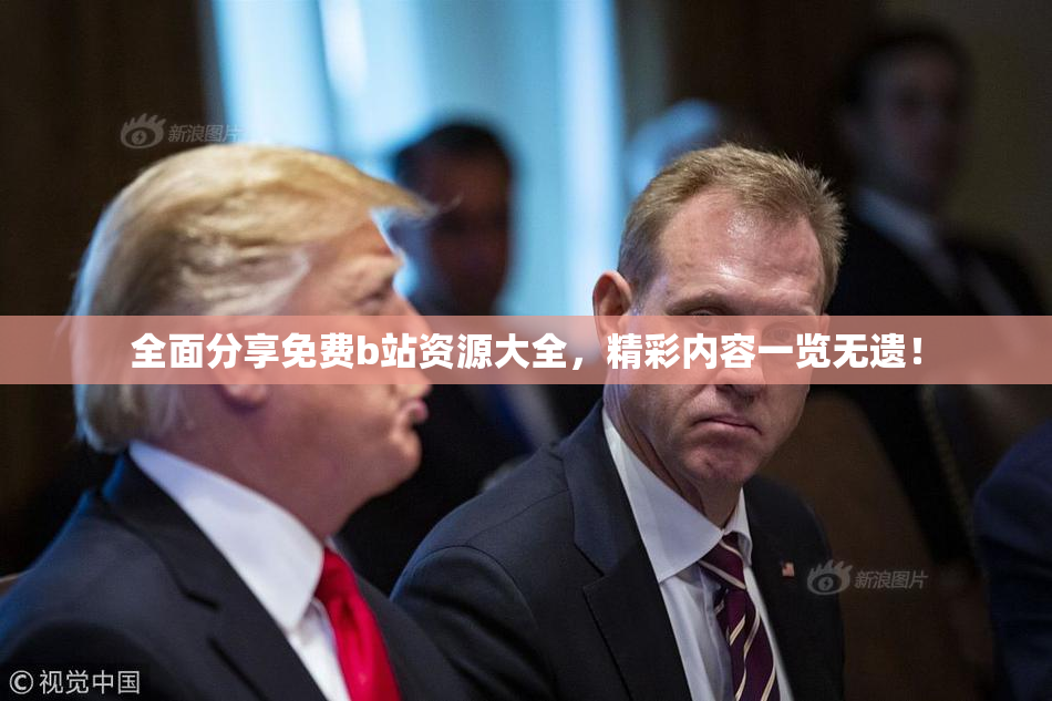 全面分享免费b站资源大全，精彩内容一览无遗！
