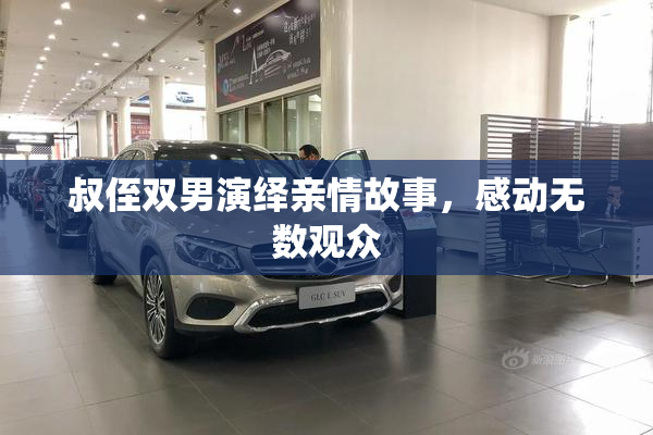叔侄双男演绎亲情故事，感动无数观众