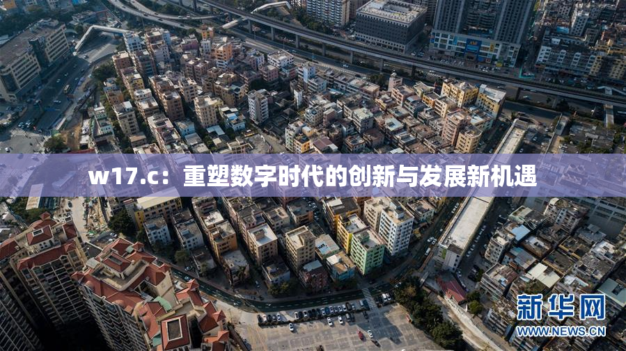 w17.c：重塑数字时代的创新与发展新机遇