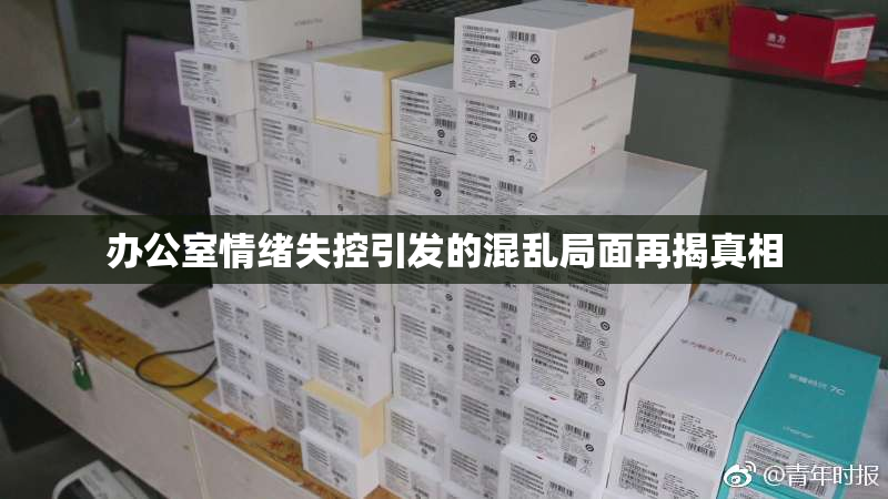 办公室情绪失控引发的混乱局面再揭真相