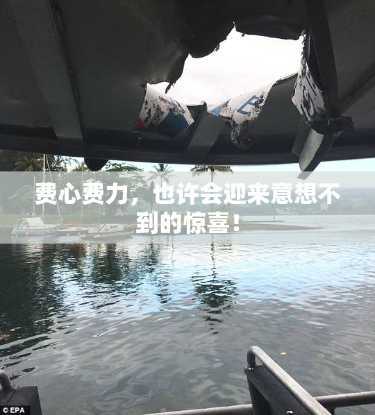 费心费力，也许会迎来意想不到的惊喜！