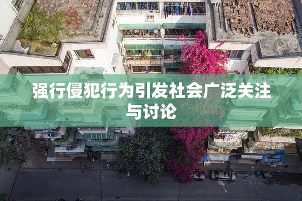 强行侵犯行为引发社会广泛关注与讨论