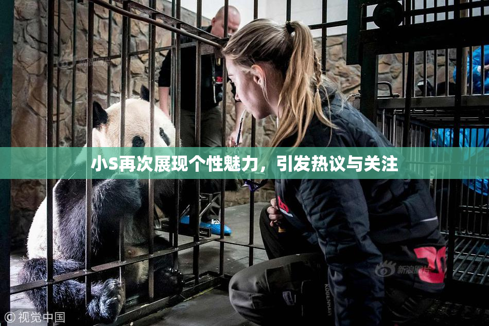 小S再次展现个性魅力，引发热议与关注