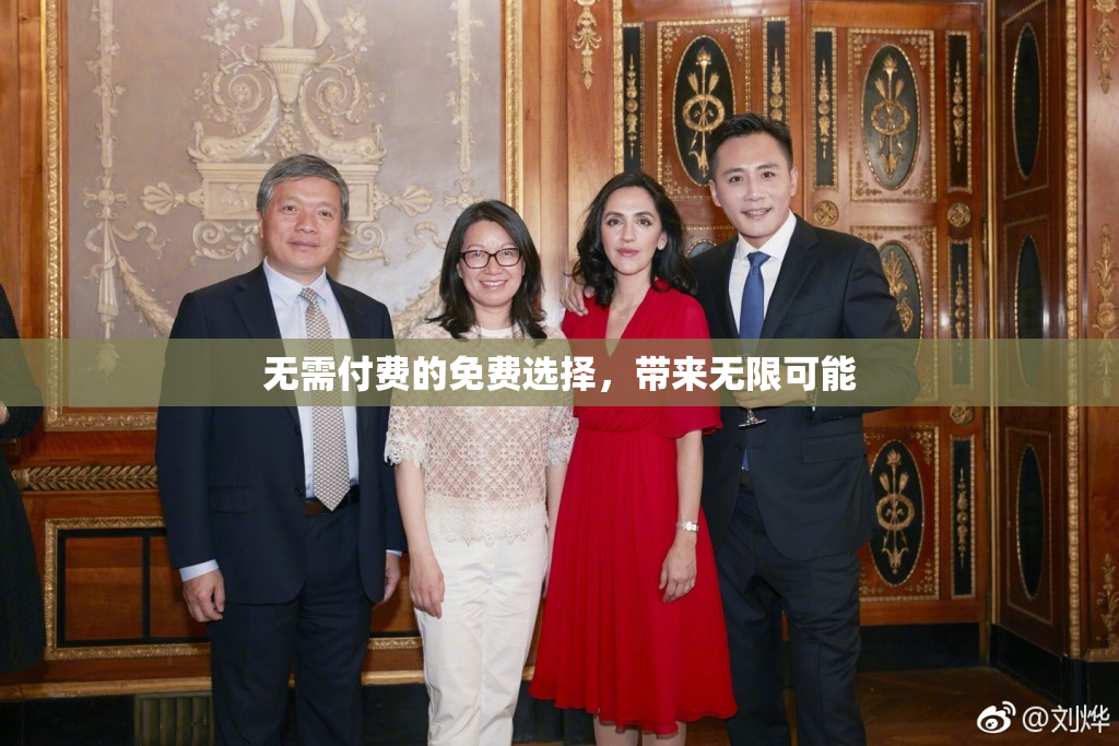 无需付费的免费选择，带来无限可能