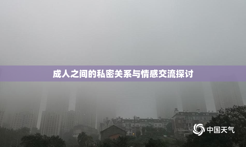 成人之间的私密关系与情感交流探讨
