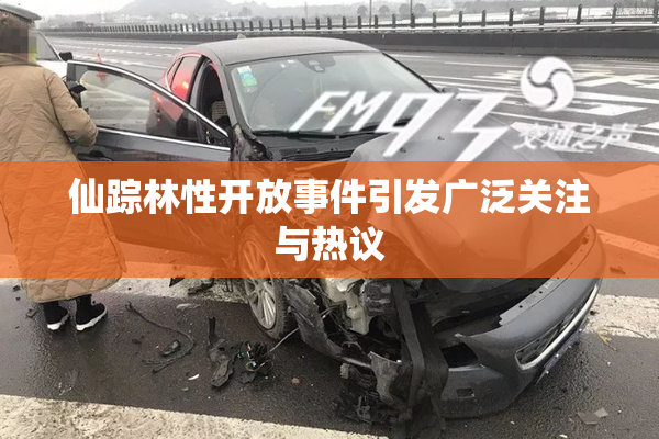 仙踪林性开放事件引发广泛关注与热议