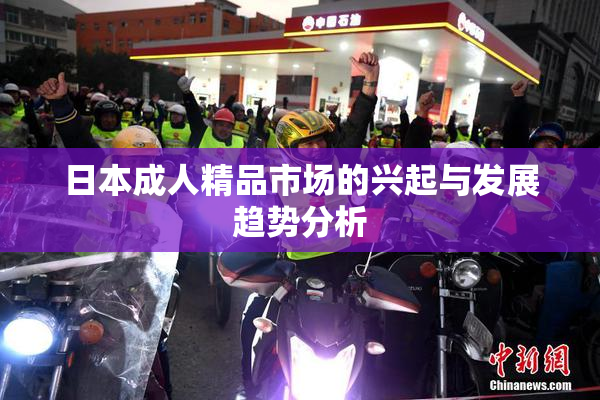 日本成人精品市场的兴起与发展趋势分析