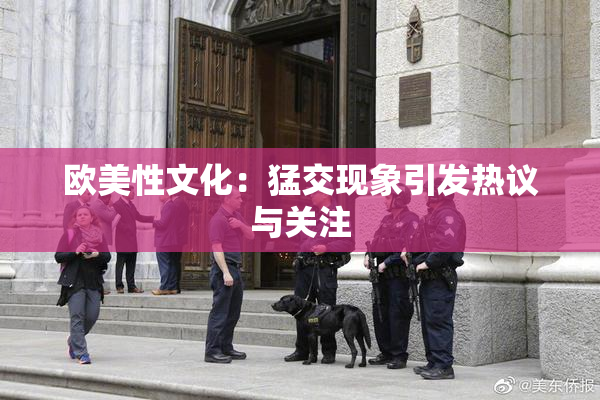 欧美性文化：猛交现象引发热议与关注