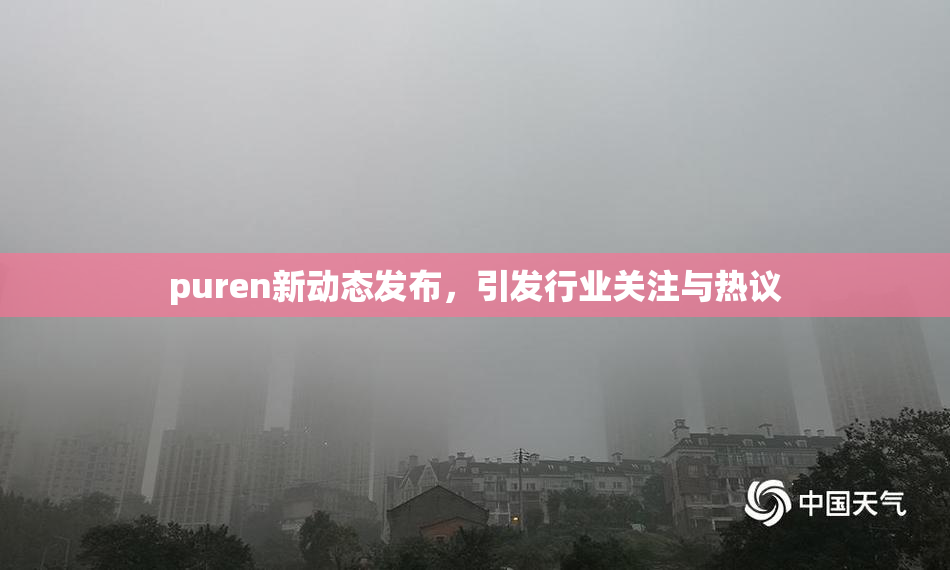 puren新动态发布，引发行业关注与热议
