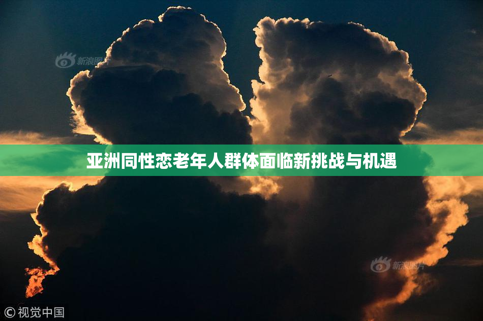 亚洲同性恋老年人群体面临新挑战与机遇