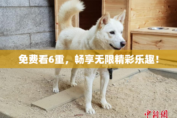免费看6重，畅享无限精彩乐趣！