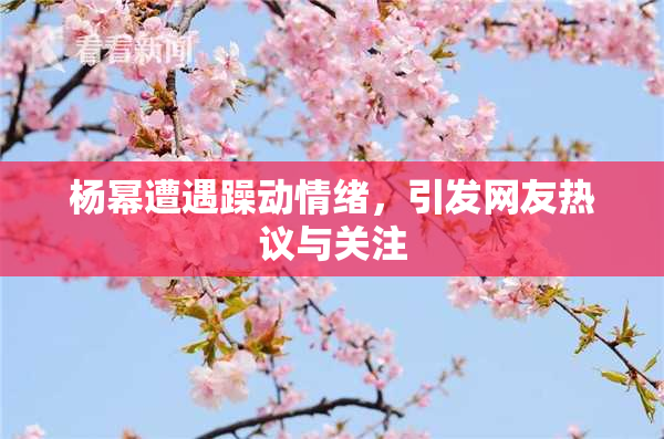 杨幂遭遇躁动情绪，引发网友热议与关注