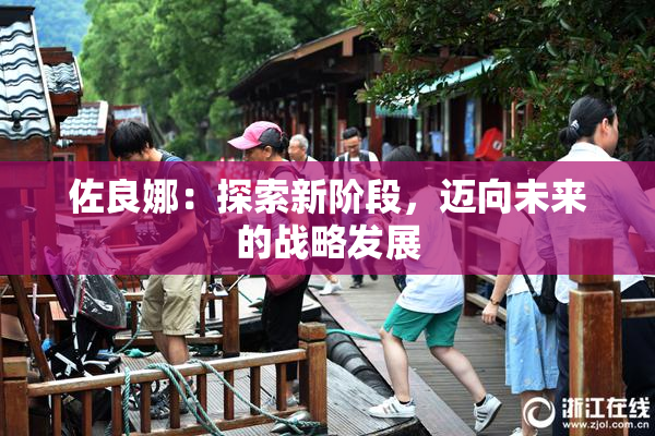 佐良娜：探索新阶段，迈向未来的战略发展