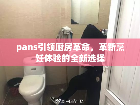 pans引领厨房革命，革新烹饪体验的全新选择