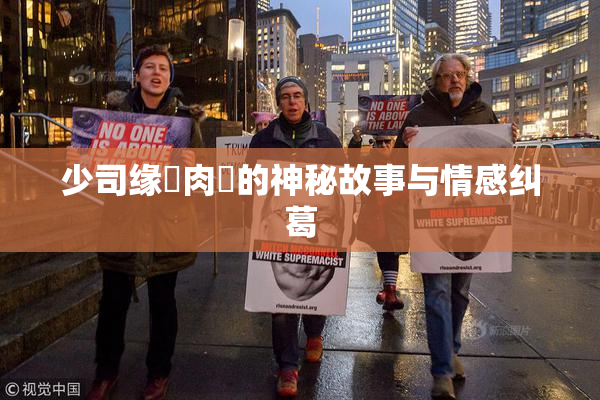 少司缘婬肉泬的神秘故事与情感纠葛