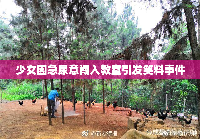 少女因急尿意闯入教室引发笑料事件