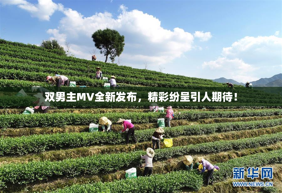 双男主MV全新发布，精彩纷呈引人期待！
