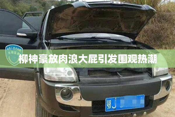 柳神豪放肉浪大屁引发围观热潮