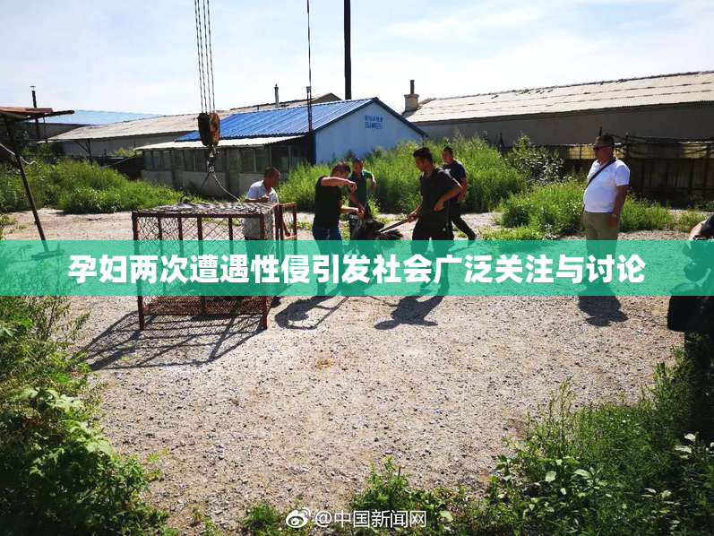 孕妇两次遭遇性侵引发社会广泛关注与讨论
