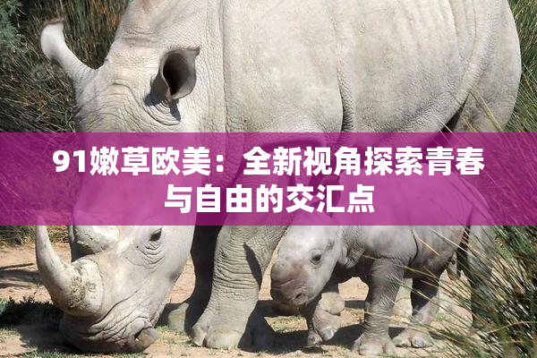 91嫩草欧美：全新视角探索青春与自由的交汇点