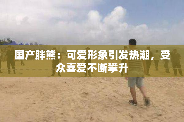 国产胖熊：可爱形象引发热潮，受众喜爱不断攀升