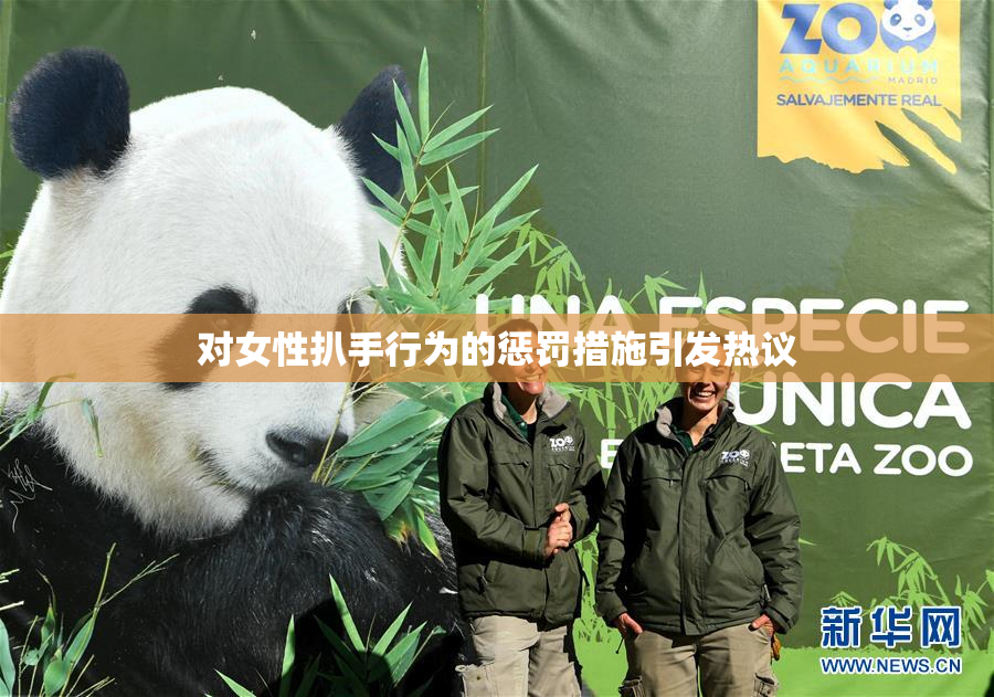对女性扒手行为的惩罚措施引发热议