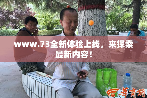 www.73全新体验上线，来探索最新内容！