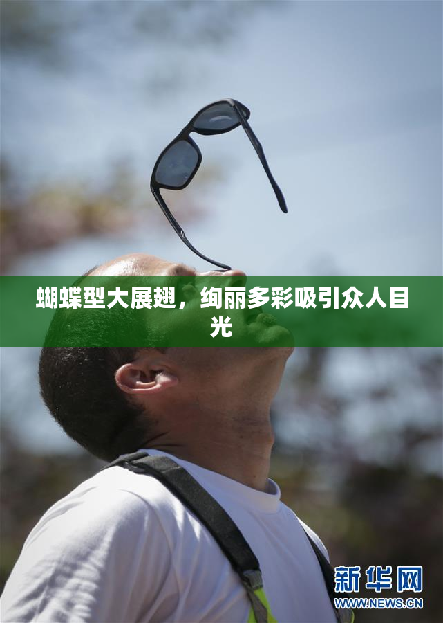 蝴蝶型大展翅，绚丽多彩吸引众人目光