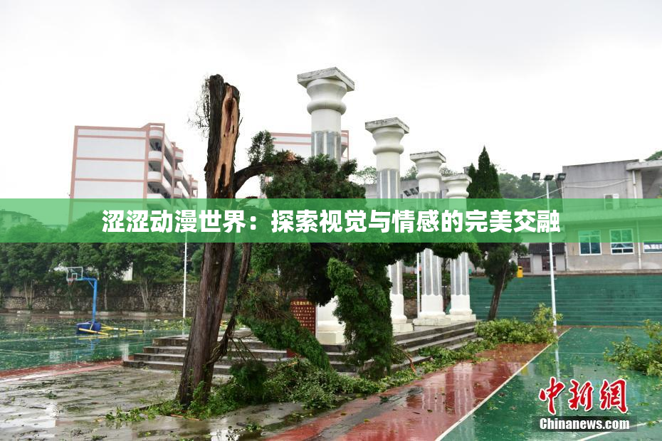 涩涩动漫世界：探索视觉与情感的完美交融