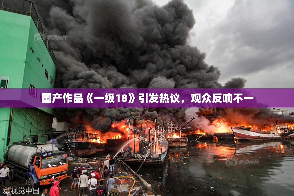 国产作品《一级18》引发热议，观众反响不一