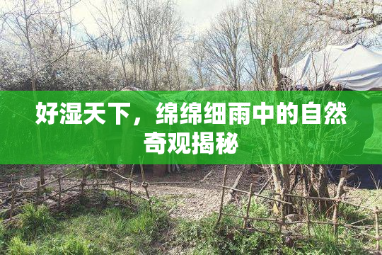 好湿天下，绵绵细雨中的自然奇观揭秘