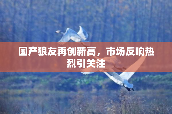 国产狼友再创新高，市场反响热烈引关注