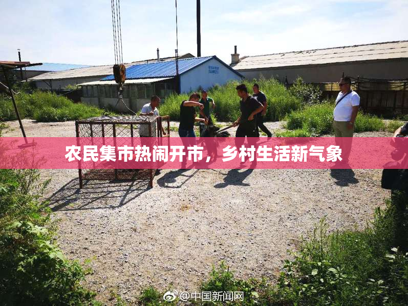 农民集市热闹开市，乡村生活新气象