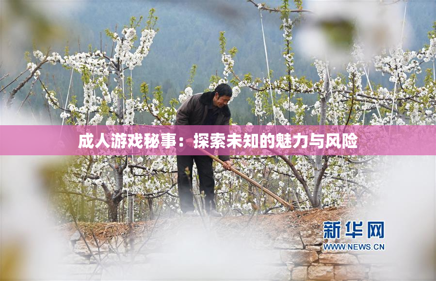 成人游戏秘事：探索未知的魅力与风险
