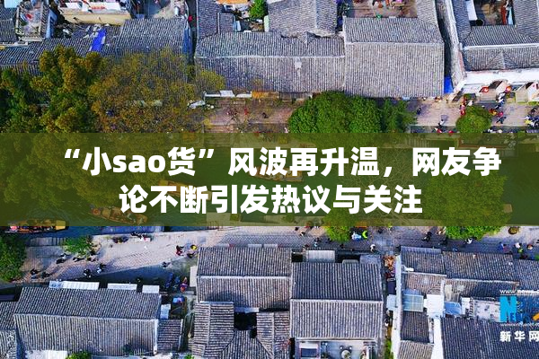 “小sao货”风波再升温，网友争论不断引发热议与关注