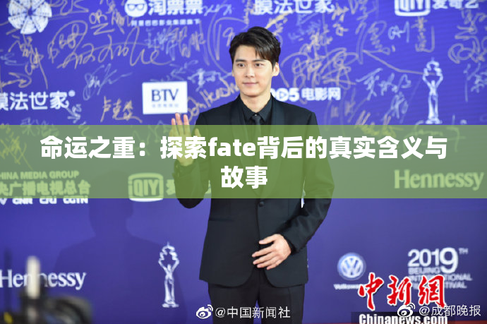 命运之重：探索fate背后的真实含义与故事