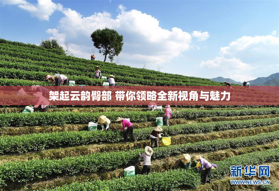 架起云韵臀部 带你领略全新视角与魅力