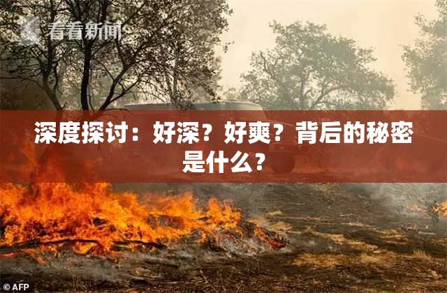 深度探讨：好深？好爽？背后的秘密是什么？