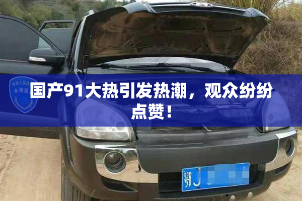 国产91大热引发热潮，观众纷纷点赞！