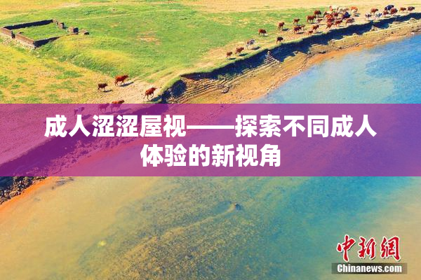 成人涩涩屋视——探索不同成人体验的新视角