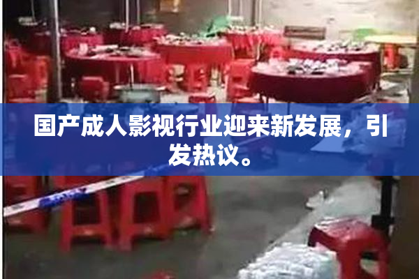 国产成人影视行业迎来新发展，引发热议。