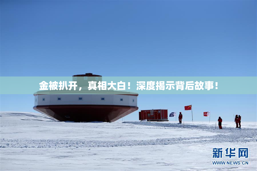 金被扒开，真相大白！深度揭示背后故事！