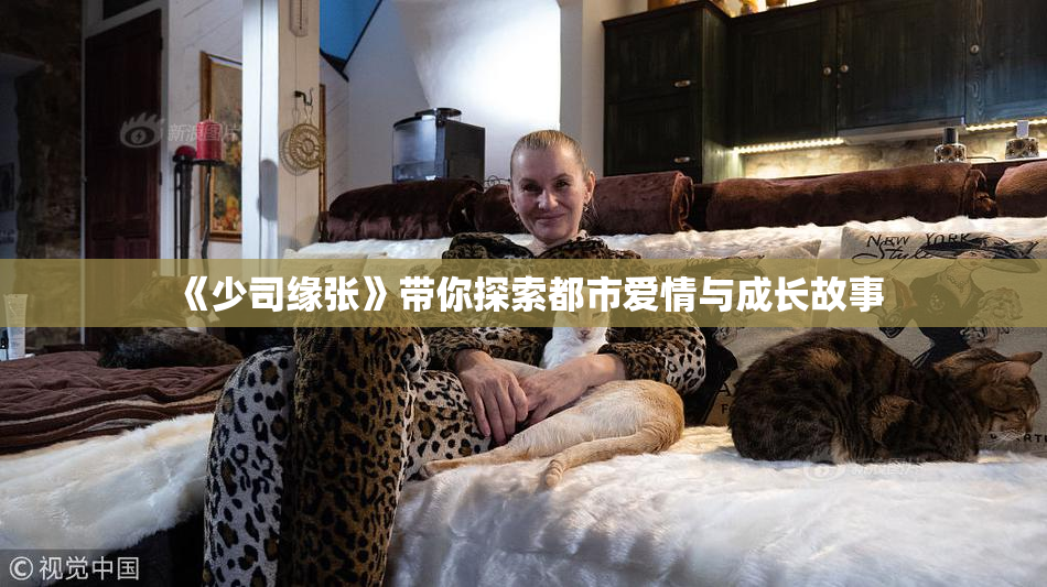 《少司缘张》带你探索都市爱情与成长故事