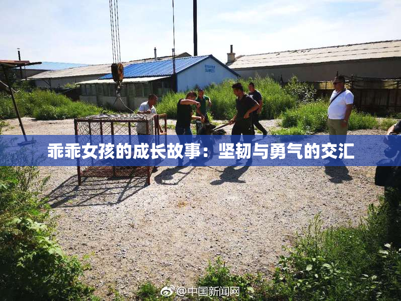 乖乖女孩的成长故事：坚韧与勇气的交汇
