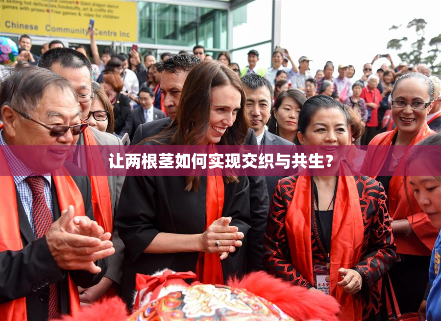 让两根茎如何实现交织与共生？