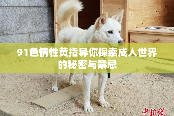 91色情性黄指导你探索成人世界的秘密与禁忌
