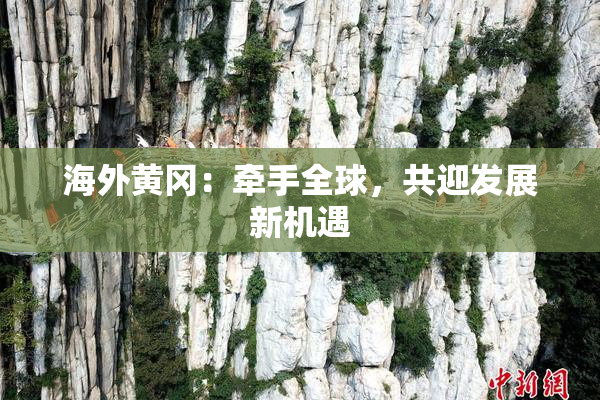 海外黄冈：牵手全球，共迎发展新机遇