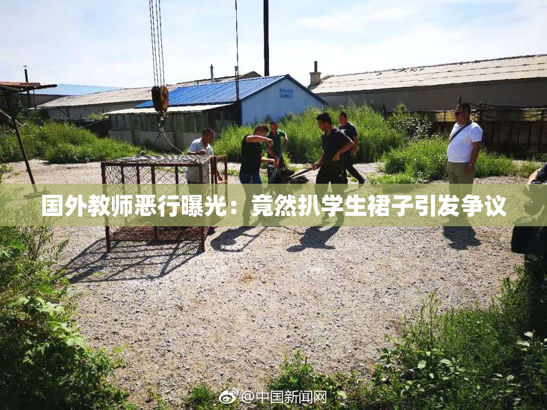 国外教师恶行曝光：竟然扒学生裙子引发争议