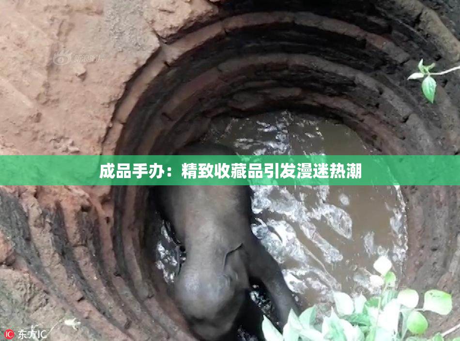成品手办：精致收藏品引发漫迷热潮